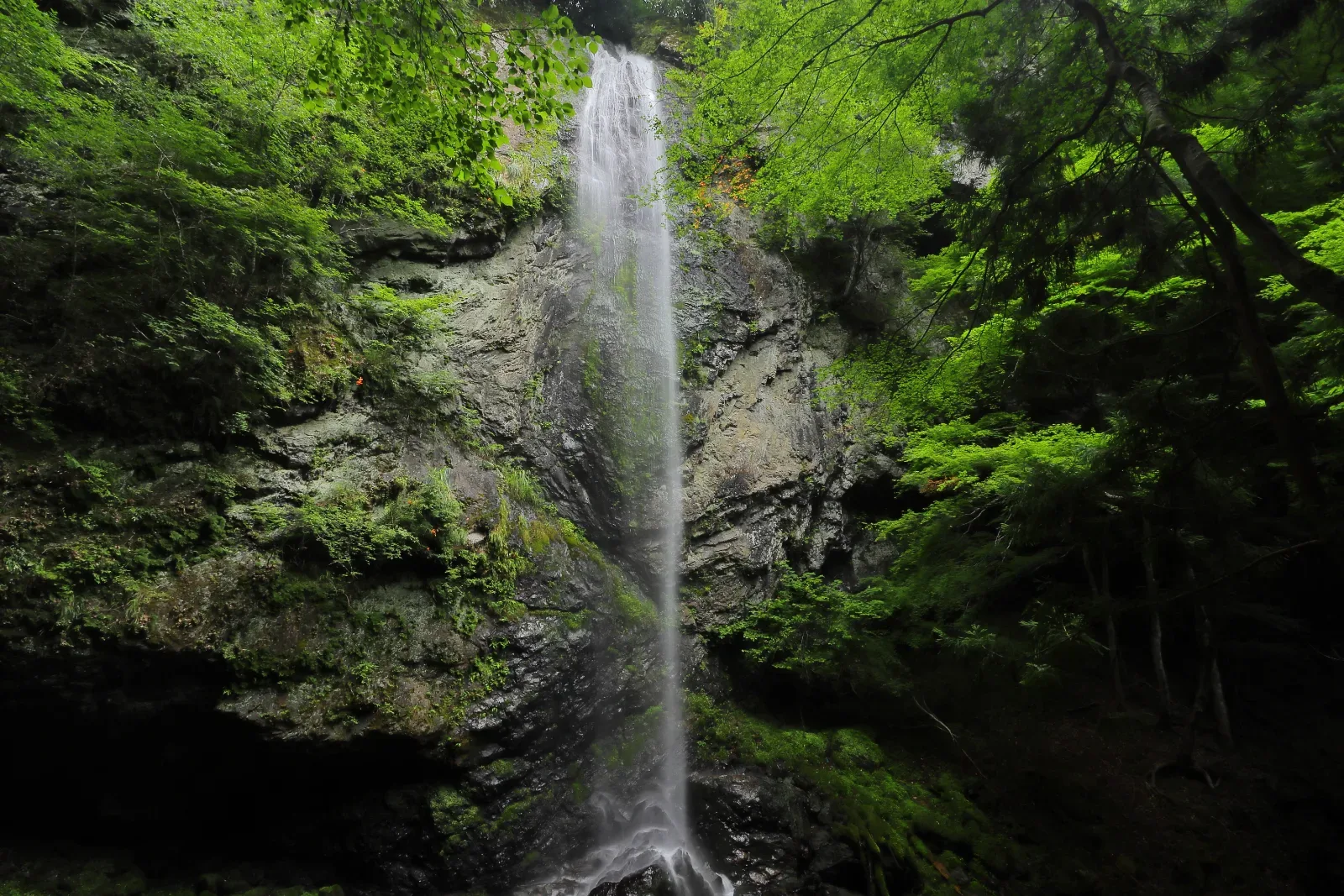紫流の滝