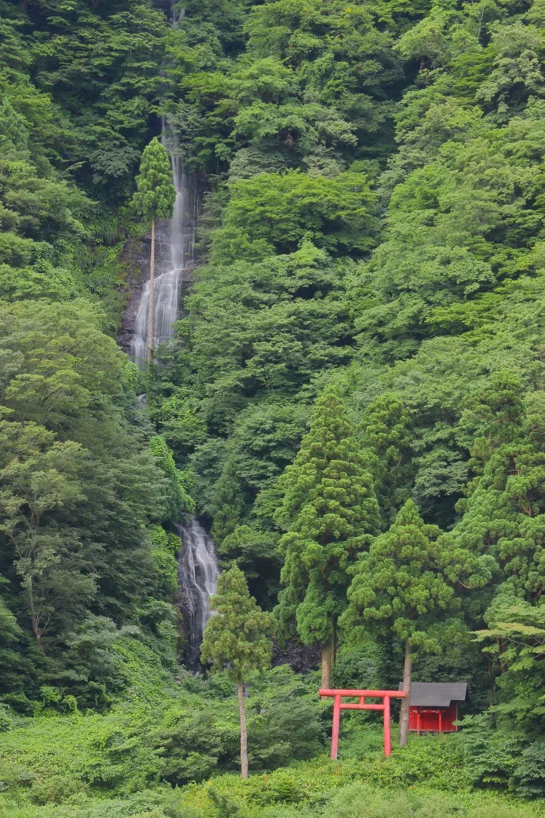 白糸の滝