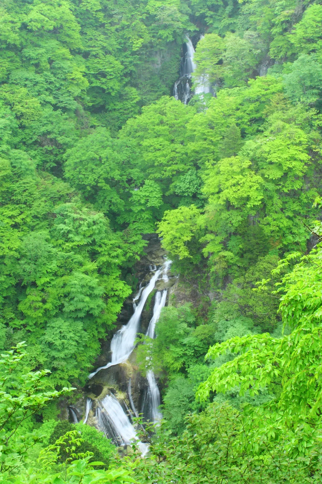 霧降の滝