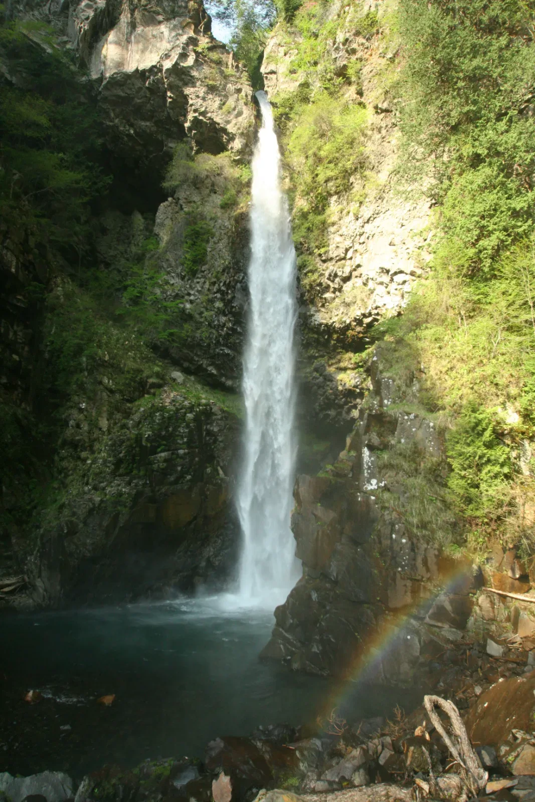 根尾の滝
