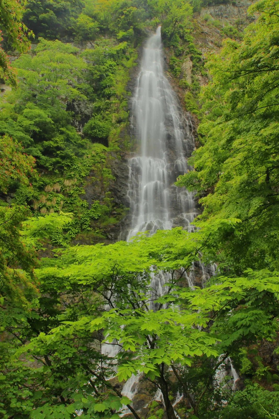 天滝(天滝渓谷)