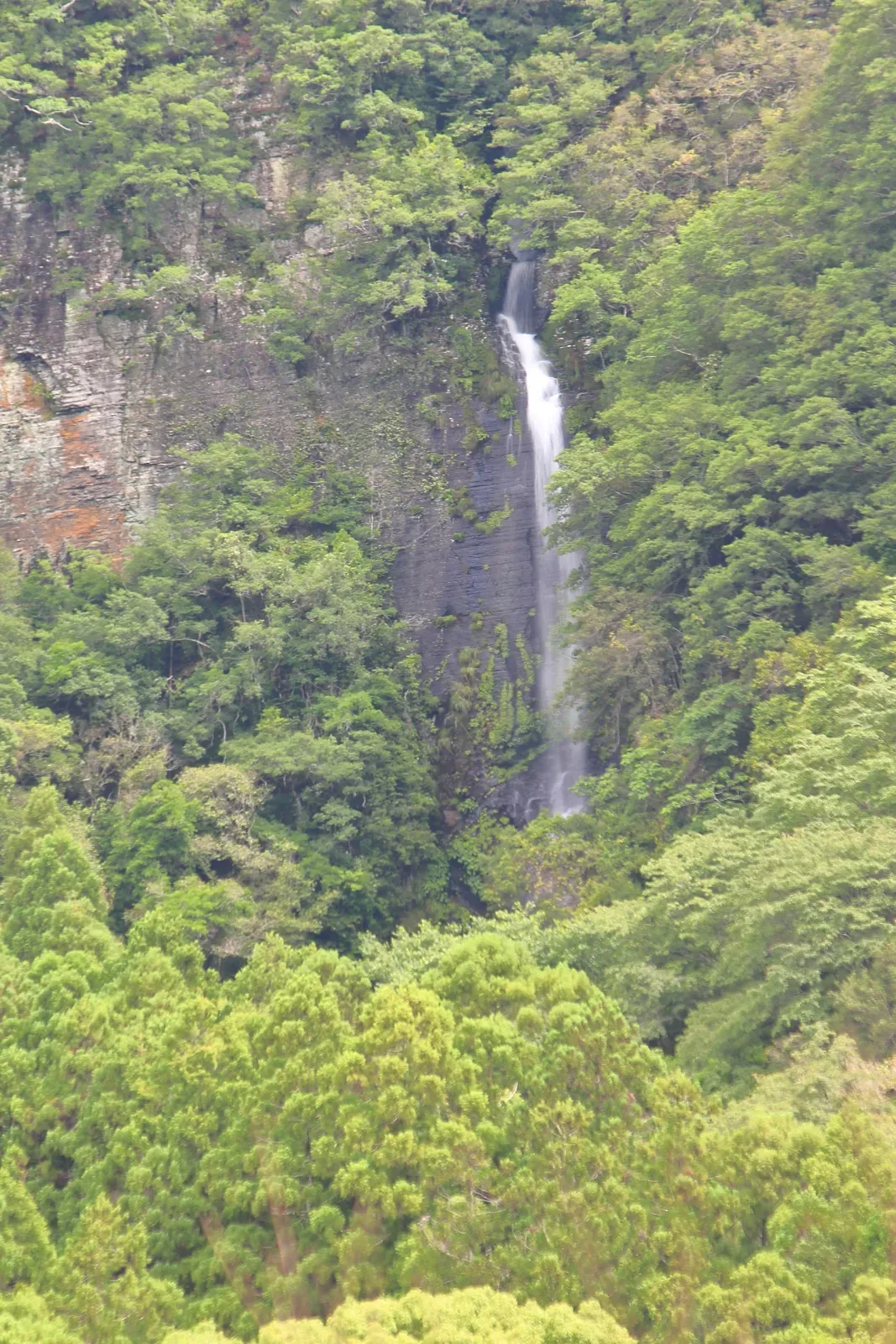 八草の滝