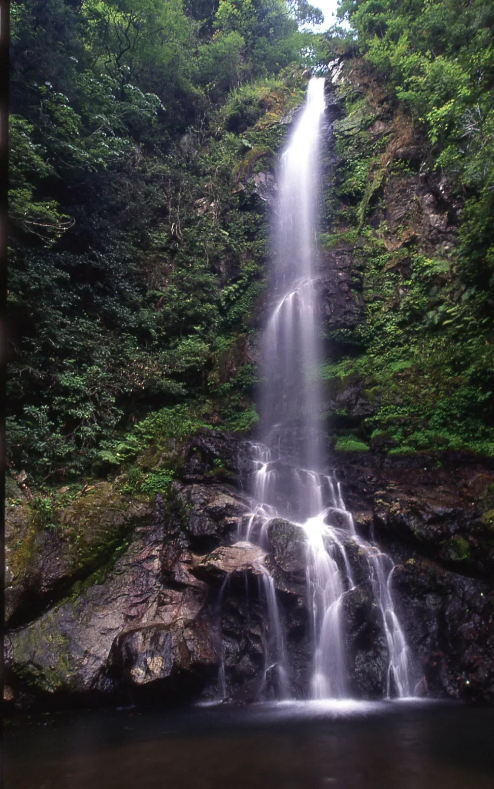 大樽の滝