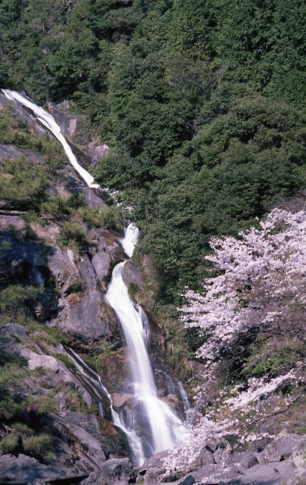見帰りの滝