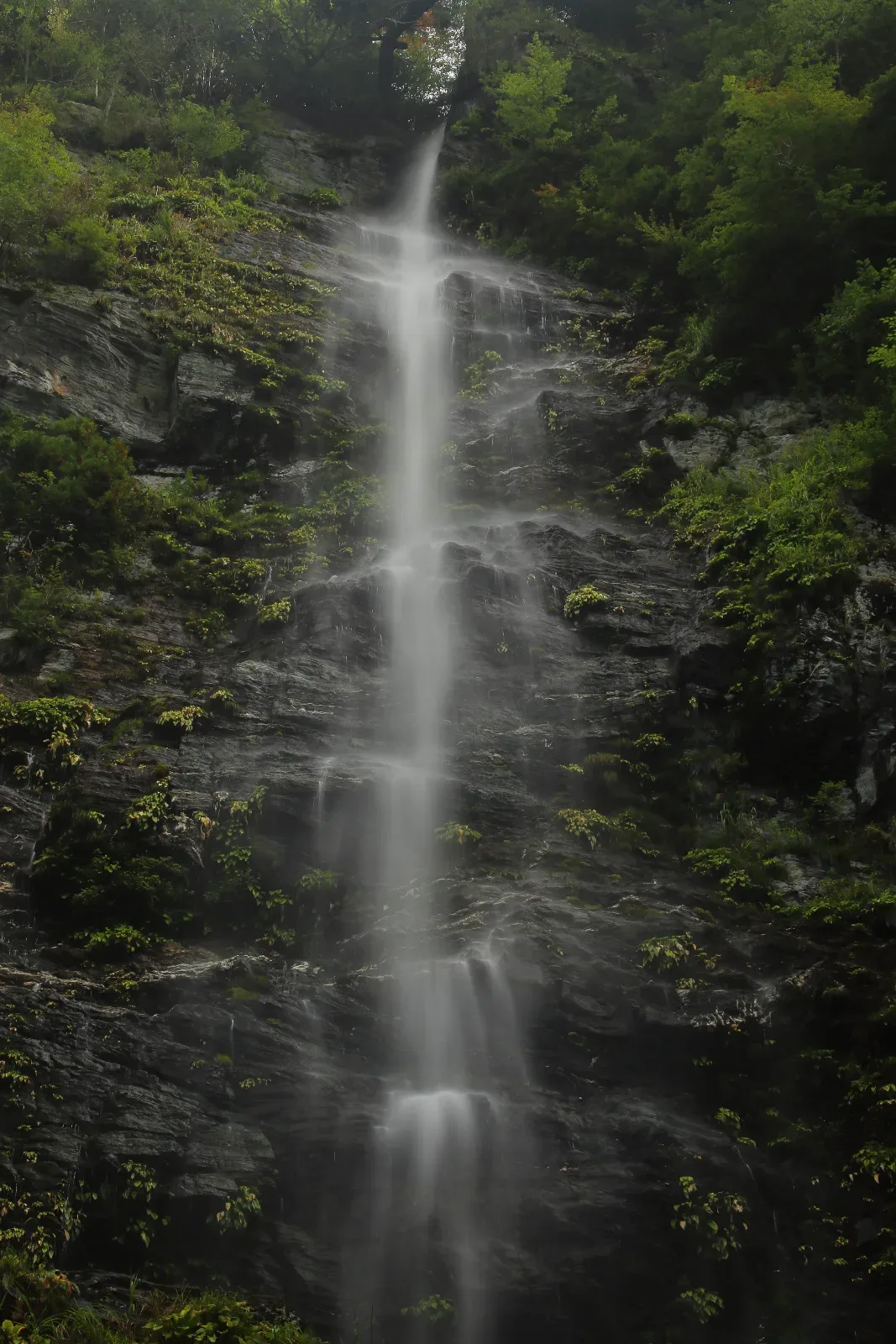 小金滝（三滝）