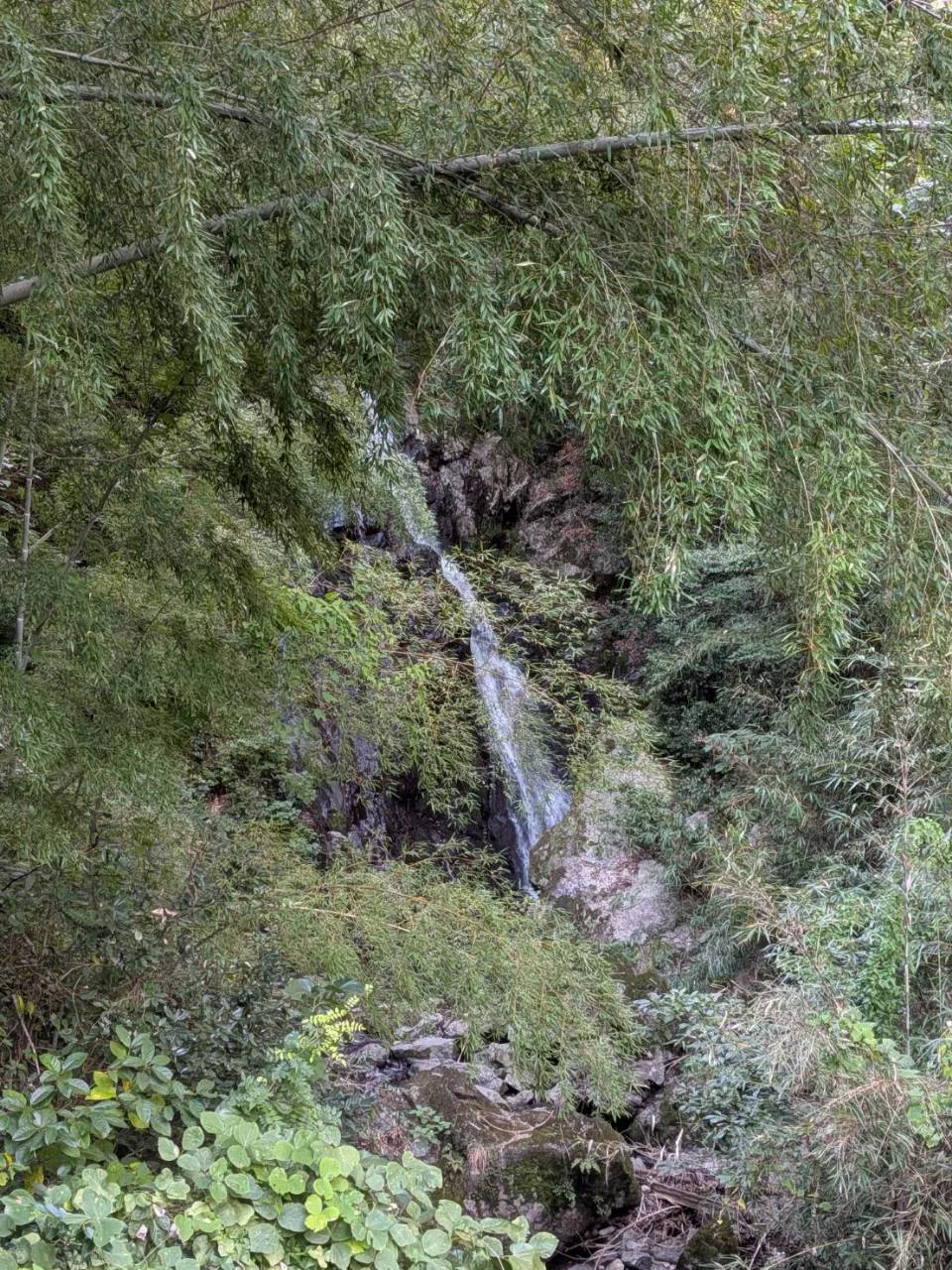 金剛の滝
